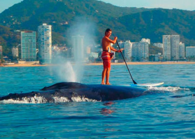 Stand Up Paddle Board Acapulco
